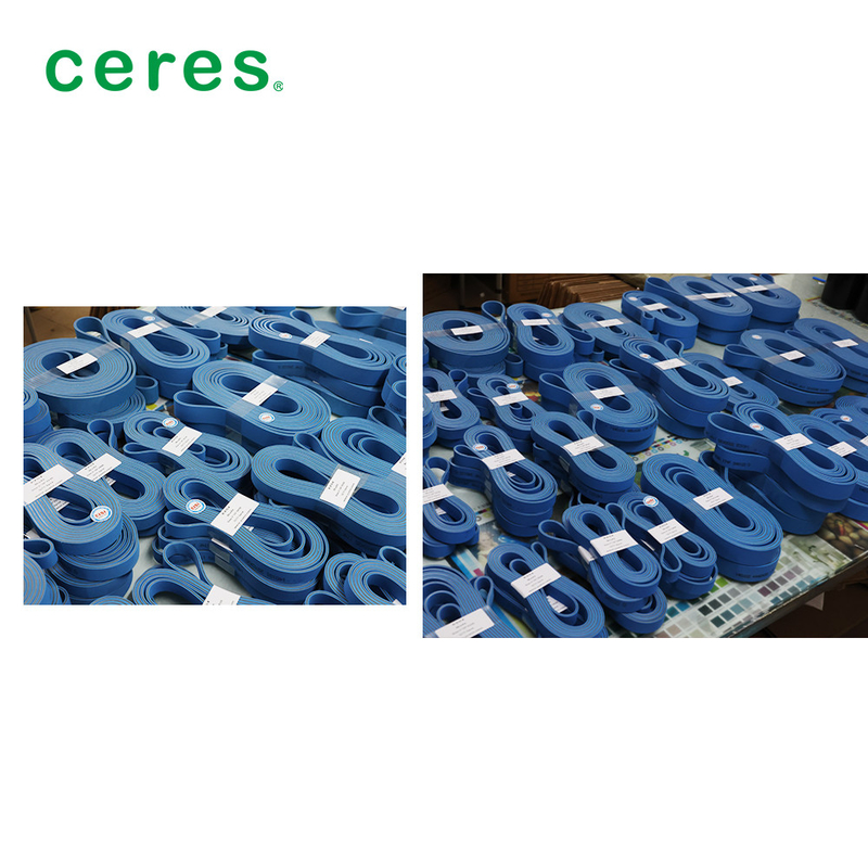 Sabuk Lapis Karet Nylon Sandwich Biru/NBR Untuk BOBST/HOSON/GAOTIAN Folder Gluer